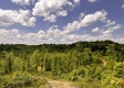 Tract 11 – Huston Hills property photo