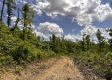 Tract 11 – Huston Hills property photo