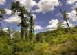 Tract 11 – Huston Hills property photo