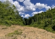 Tract 11 – Huston Hills property photo