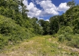 Tract 11 – Huston Hills property photo
