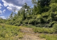 Tract 11 – Huston Hills property photo