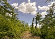 Tract 11 – Huston Hills property photo