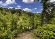 Tract 11 – Huston Hills property photo