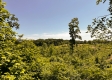 Vinton Furnace Retreat Cabin property photo