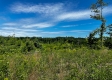 Tract 10 – Huston Hills property photo