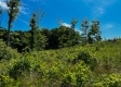 Tract 10 – Huston Hills property photo