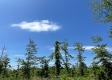 Tract 10 – Huston Hills property photo