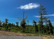 Tract 10 – Huston Hills property photo