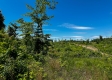 Tract 10 – Huston Hills property photo