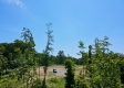 Tract 10 – Huston Hills