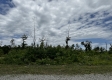 Tract 15 - Huston Hills property photo