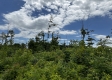 Tract 15 - Huston Hills property photo