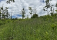 Tract 15 - Huston Hills property photo