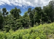 Tract 15 - Huston Hills property photo