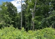 Tract 15 - Huston Hills property photo