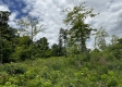 Tract 15 - Huston Hills property photo