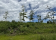Tract 15 - Huston Hills property photo