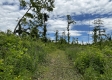 Tract 15 - Huston Hills property photo