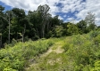 More of Tract 15 - Huston Hills