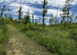 Tract 15 - Huston Hills property photo