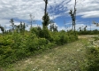Tract 15 - Huston Hills property photo