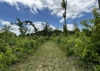 Tract 15 - Huston Hills property photo