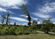 Tract 16 - Huston Hills property photo