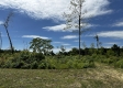Tract 16 - Huston Hills property photo