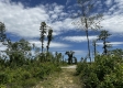 Tract 16 - Huston Hills property photo