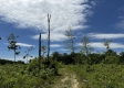 Tract 16 - Huston Hills property photo