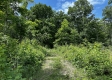 More of Tract 16 - Huston Hills