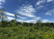 Tract 16 - Huston Hills property photo