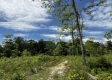 Tract 16 - Huston Hills property photo