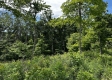Tract 16 - Huston Hills property photo
