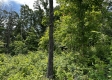 Tract 16 - Huston Hills property photo