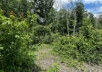 Tract 16 - Huston Hills property photo