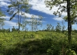 Tract 16 - Huston Hills property photo