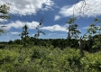 Tract 16 - Huston Hills property photo