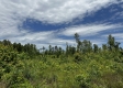 Tract 16 - Huston Hills property photo