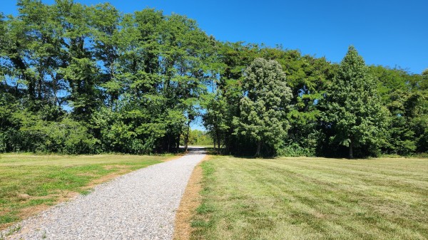 Tract 2 - Walnut Meadows property photo