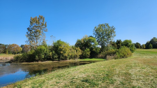 Tract 2 - Walnut Meadows property photo