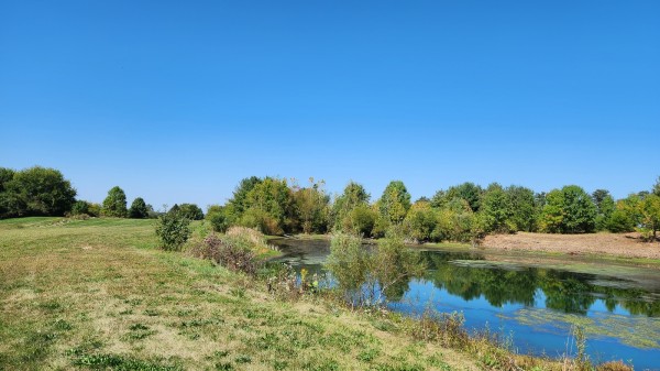 Tract 2 - Walnut Meadows property photo