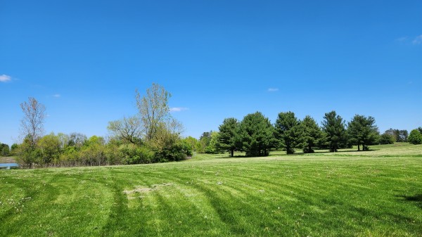 Tract 2 - Walnut Meadows property photo