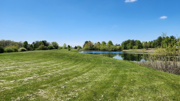 Tract 2 - Walnut Meadows property photo