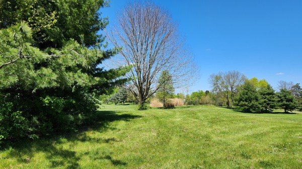 Tract 2 - Walnut Meadows property photo