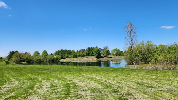 Tract 2 - Walnut Meadows property photo