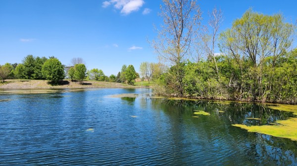 More of Tract 2 - Walnut Meadows