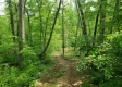 More of 9955 Township Road 314 SE