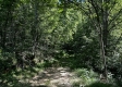 Tract 23 at The Woods on Wayne National Forest property photo